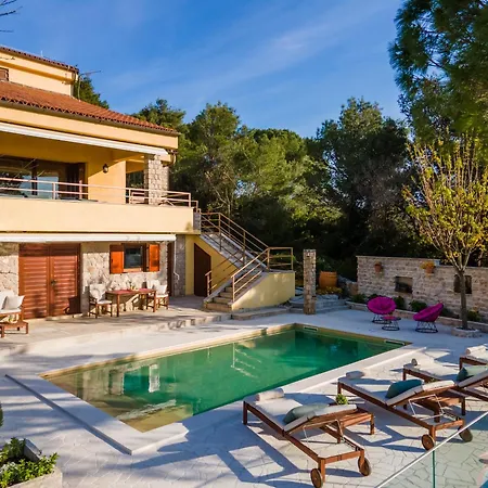 Vila Barotul With Pool