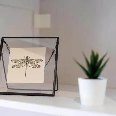 Barotul With Pool Mrljane