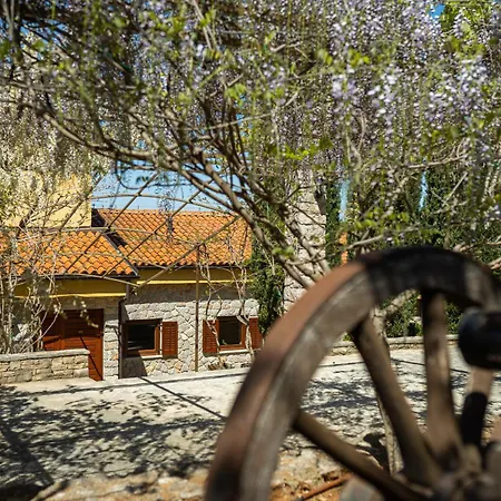 Villa Barotul With Pool