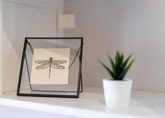 Barotul With Pool Mrljane