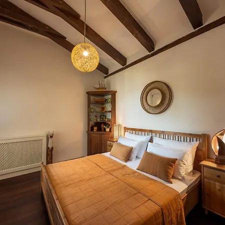 Vila Barotul With Pool *